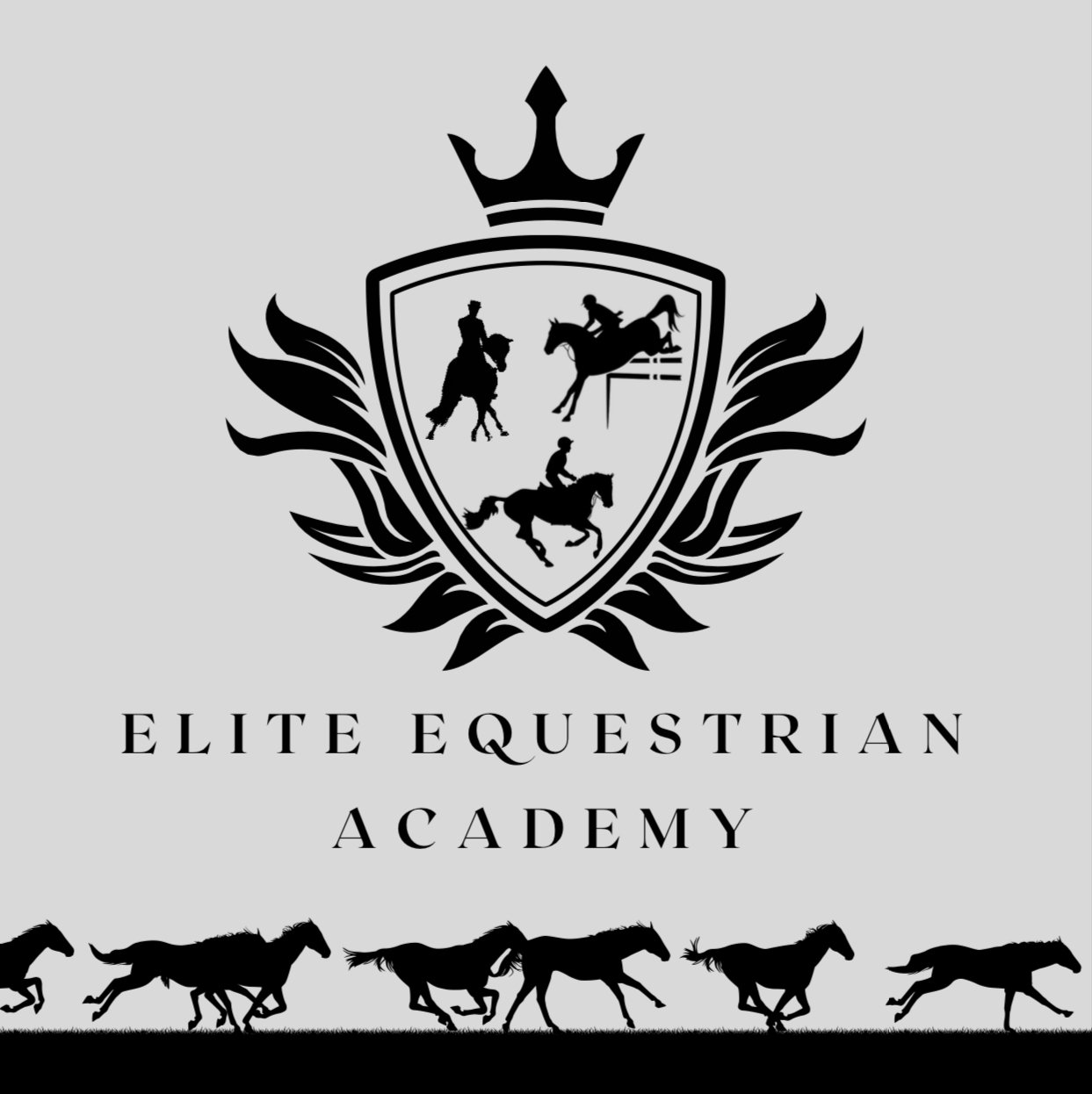Elite Equestrian Academy