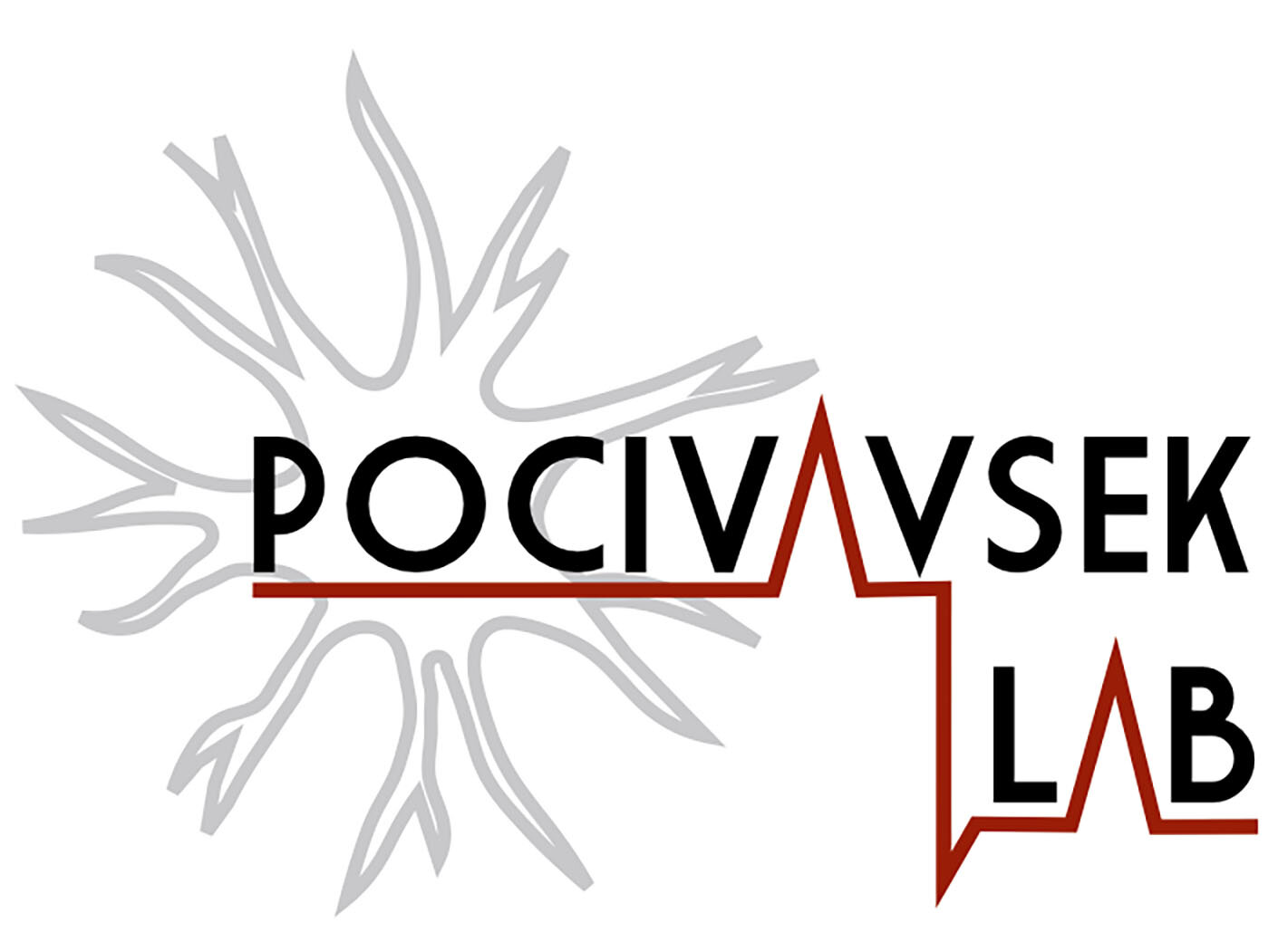The Pocivavsek Lab