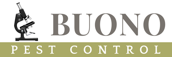 Professional Pest and Rodent Control Services in MA and RI | Buono Pest Control | Belmont MA