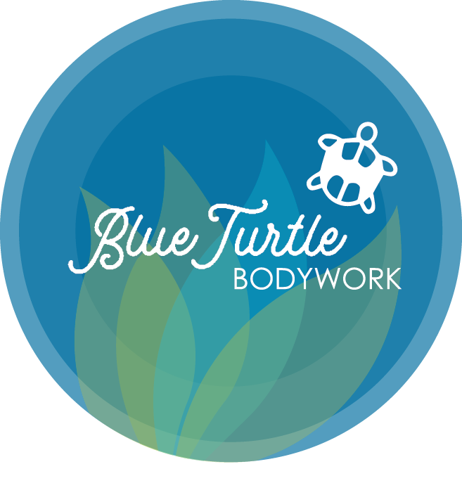 Blue Turtle Bodywork