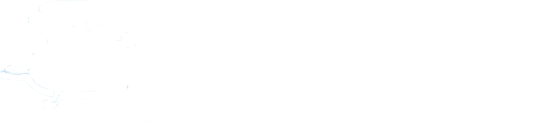 The Turtle Partnership
