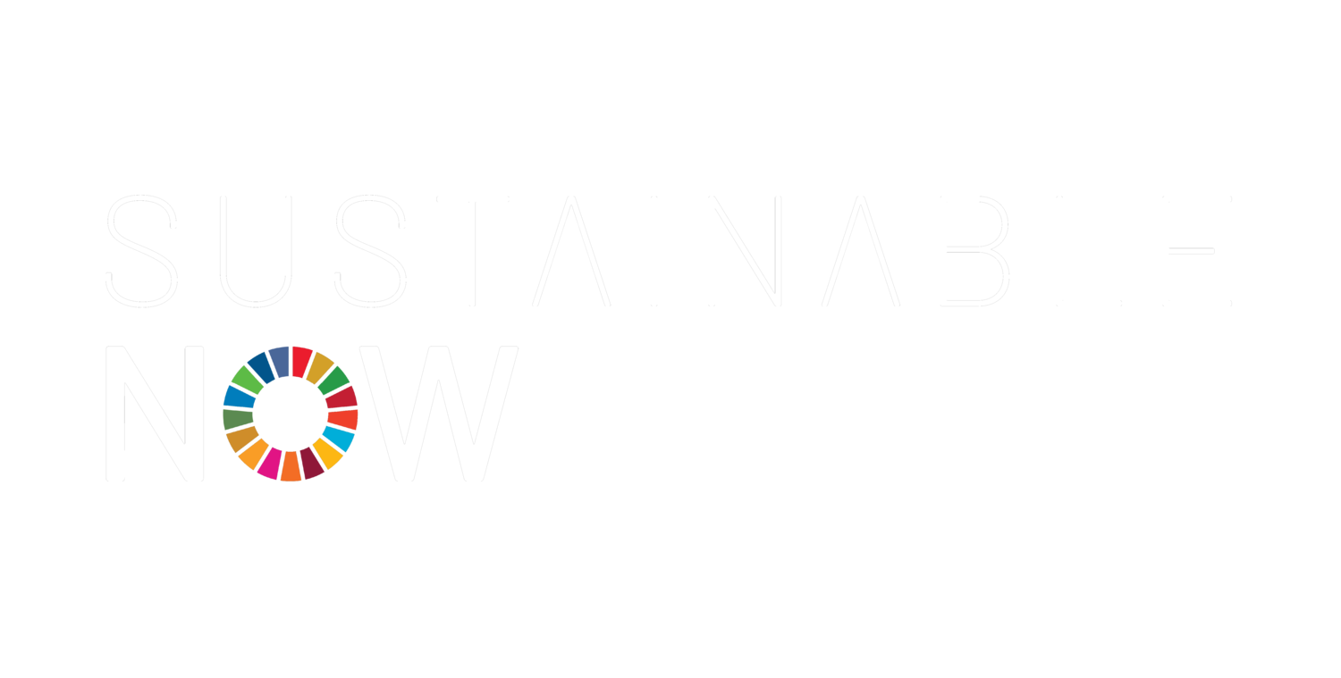 SUSTAINABLE NOW