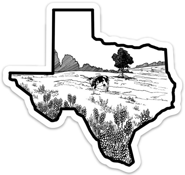 coloring pages for texas state symbols