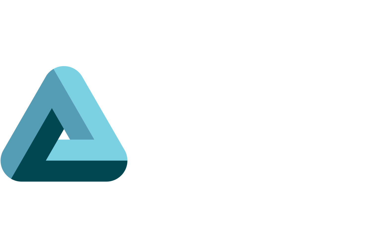 NeuroSolutions International