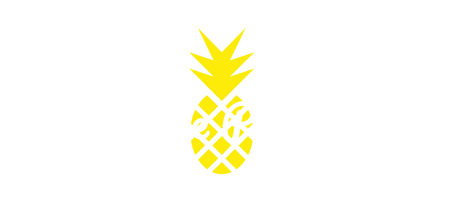 Pineapple Photobooth - Vancouver Photo Booth Rentals , BC 
