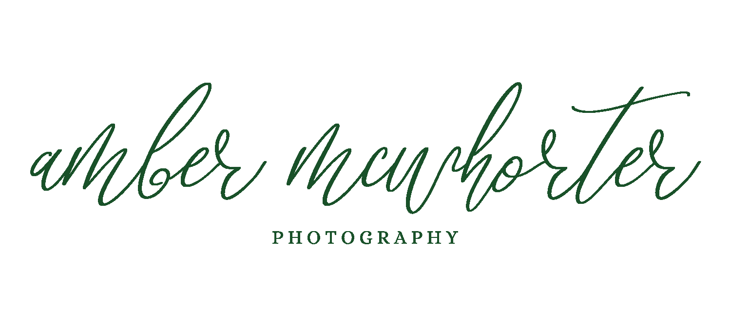 Amber McWhorter | Tampa Based Wedding + Portrait Photographer