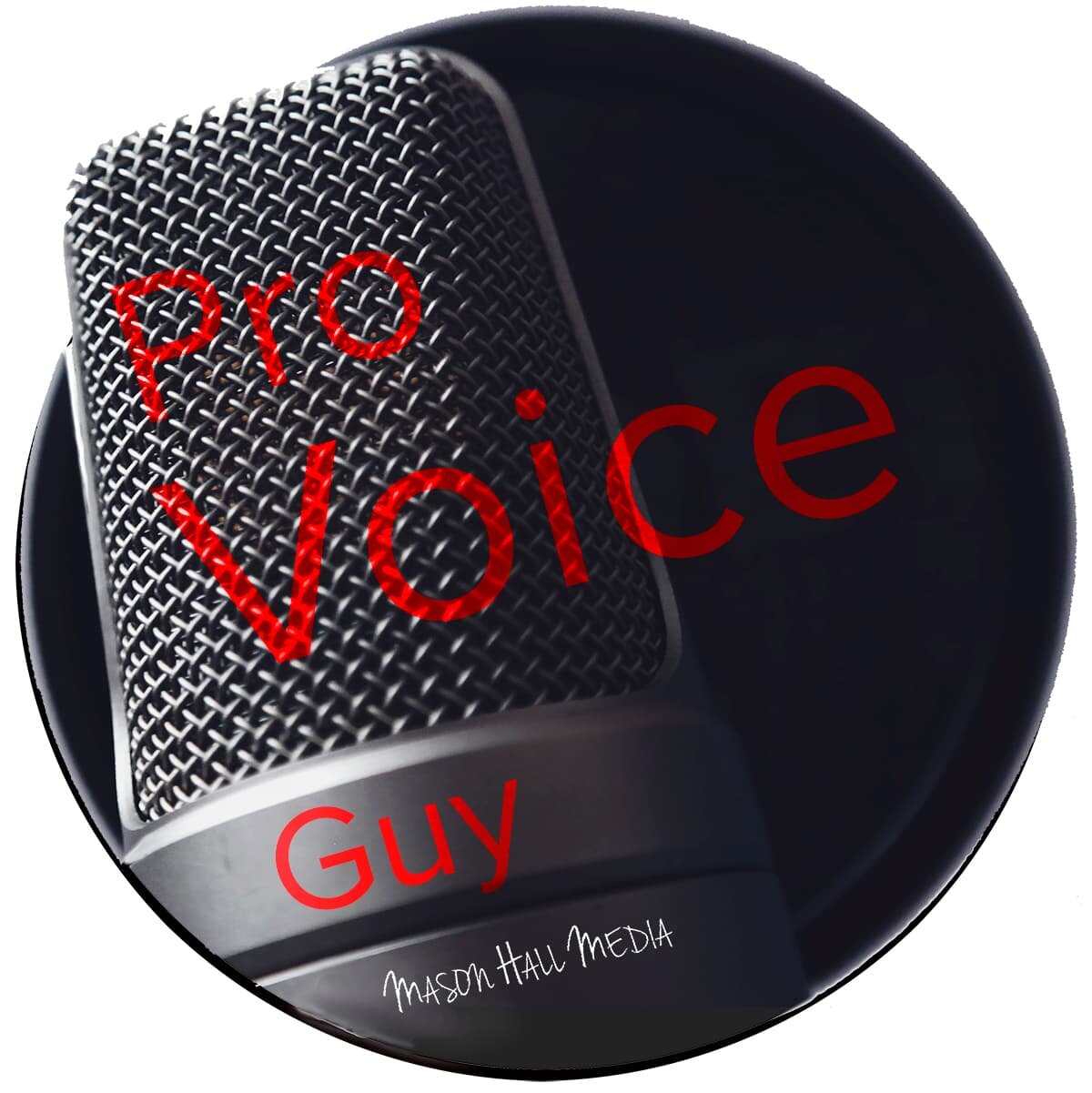Pro Voice Guy