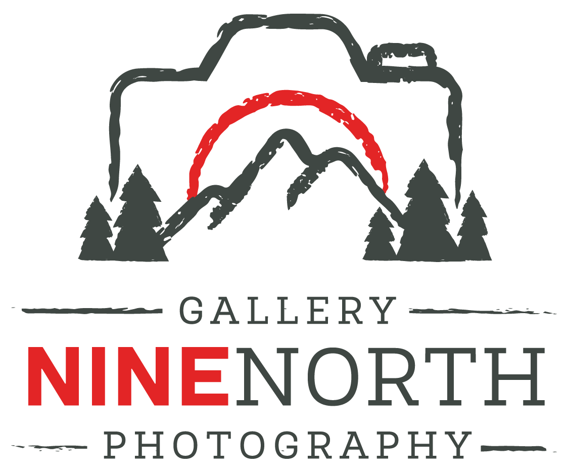 GALLERY NINE NORTH