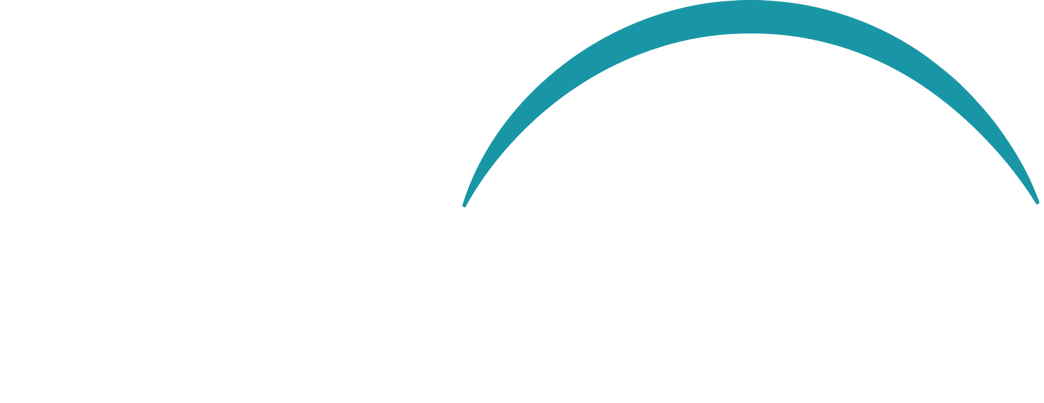 MedTech Strategist