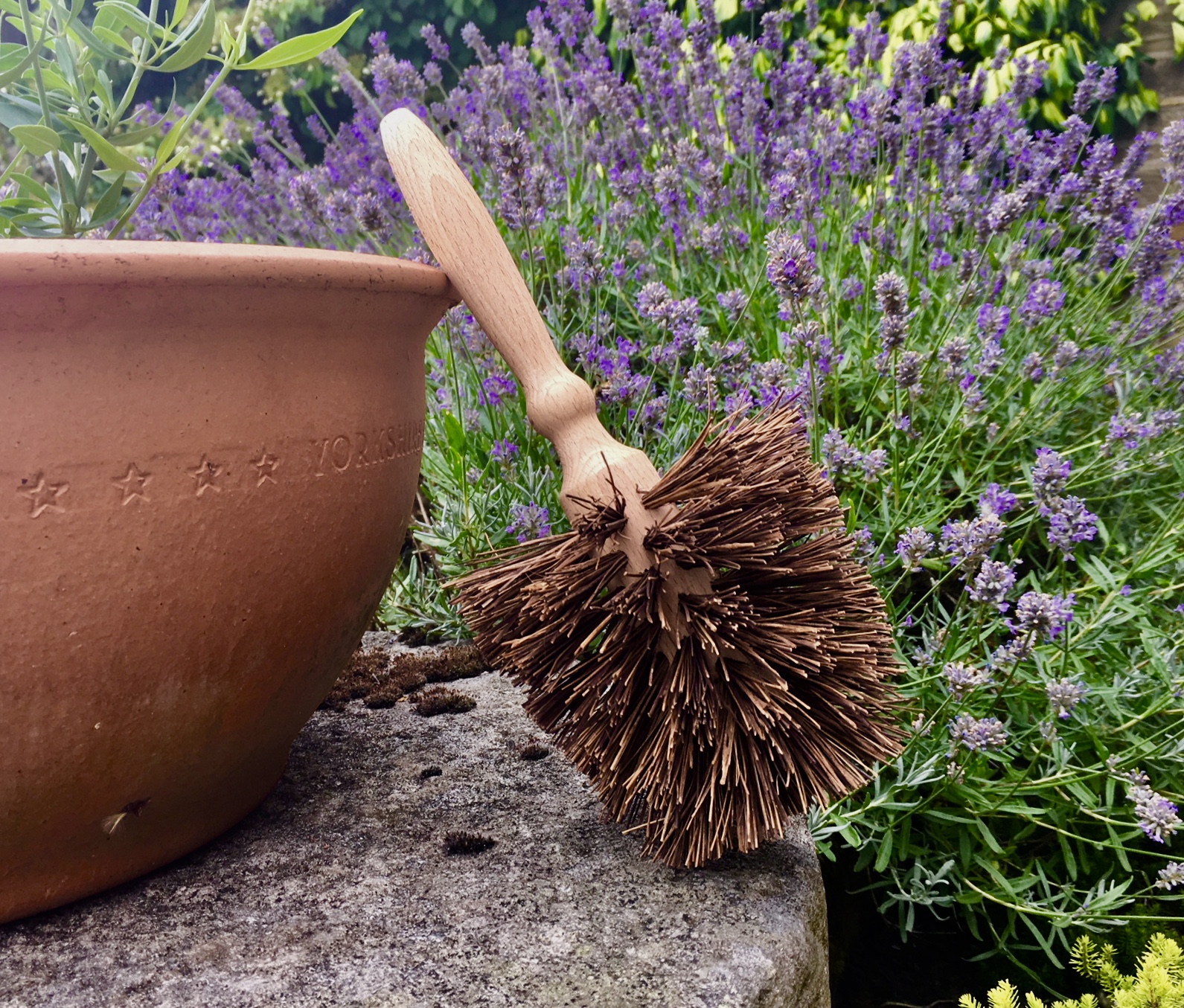 Plant Pot Brush — Plain Useful