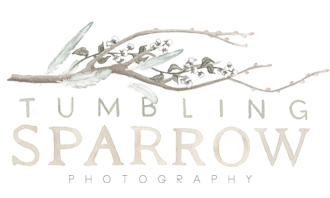 Tumbling Sparrow