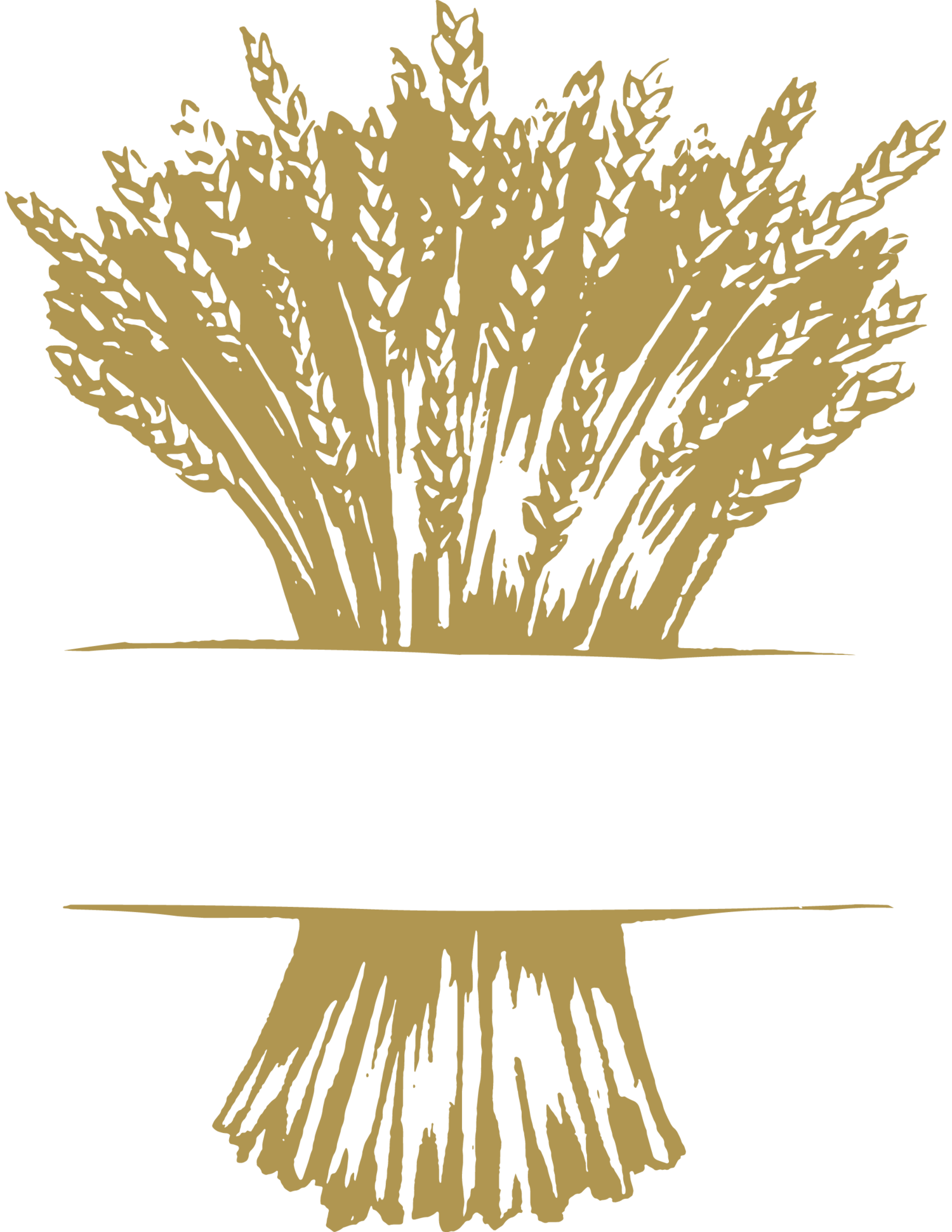 The Grain Shed