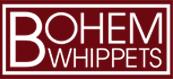 Bohem Whippets