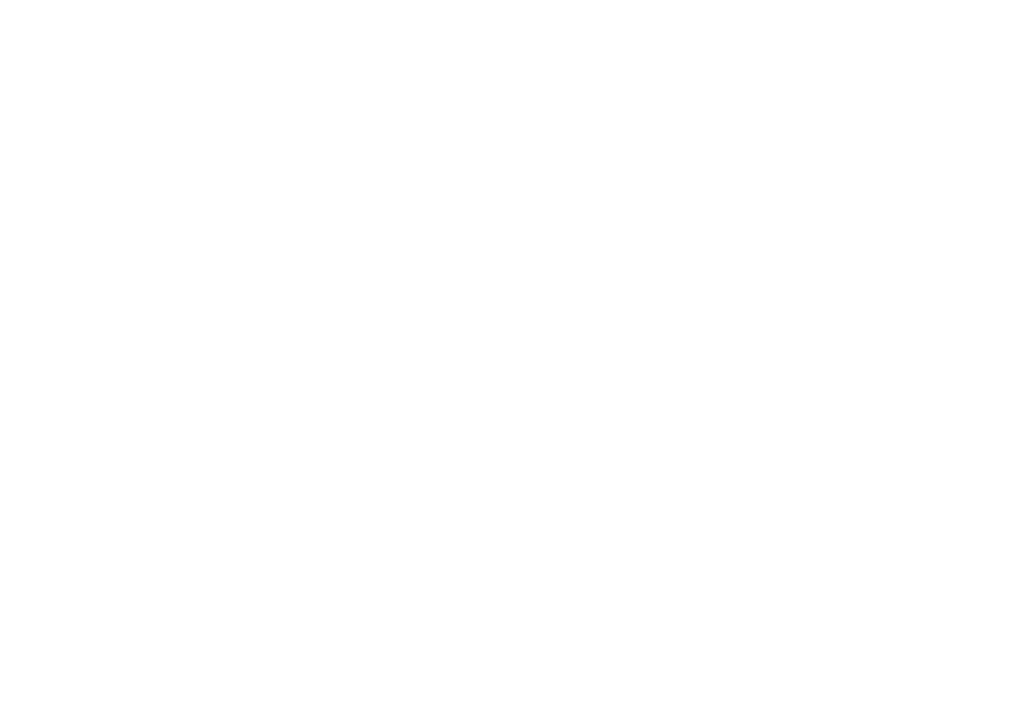 Kanpeki Rice