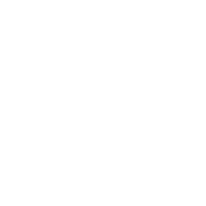The Council Leadership Academy