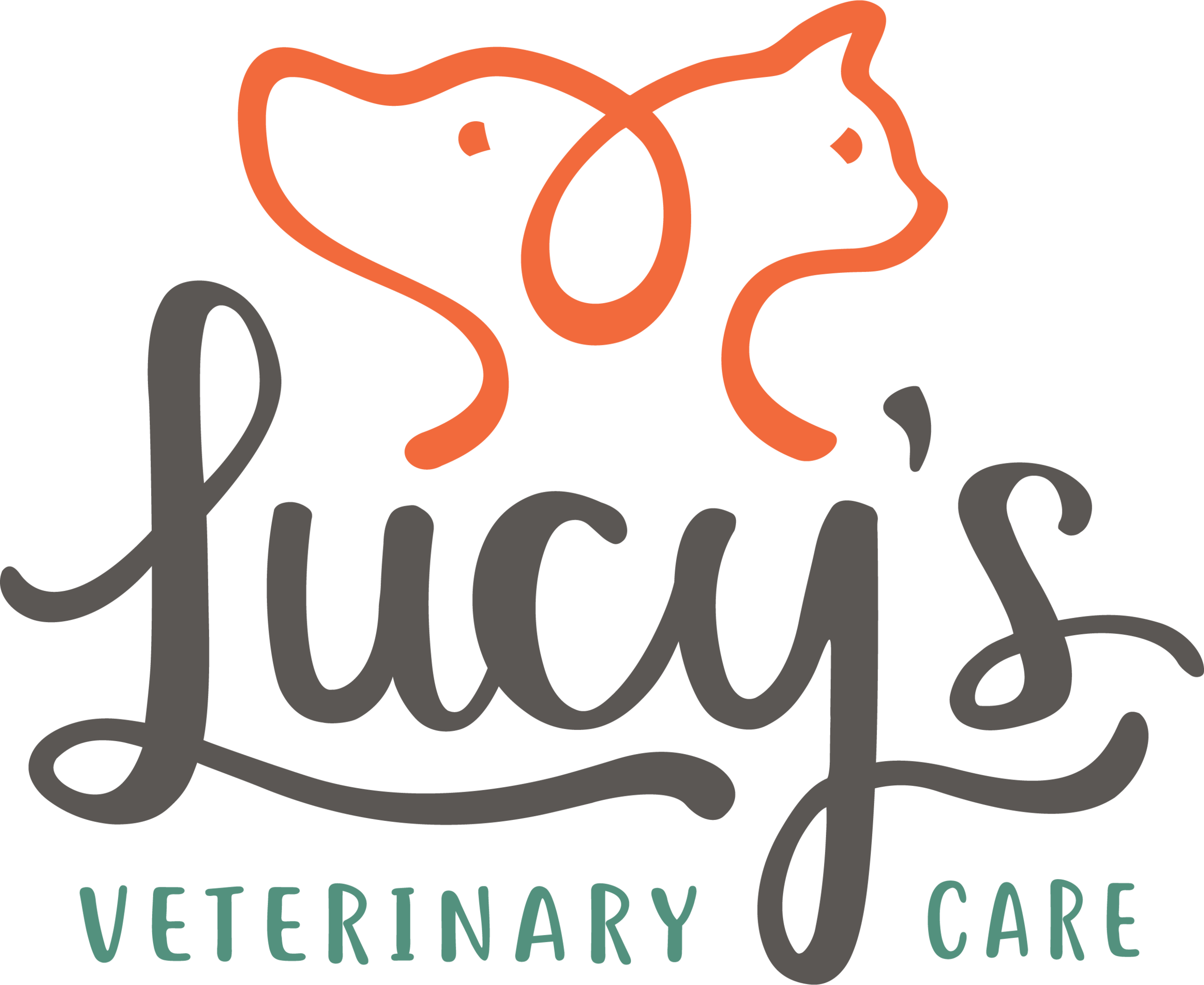 Lucy&#39;s Veterinary Care - Mobile Vet Clinic in Smyrna, Georgia