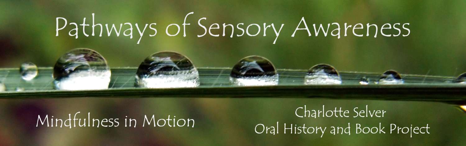 Pathways of Sensory Awareness