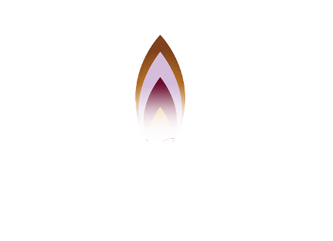 The Womb Room 