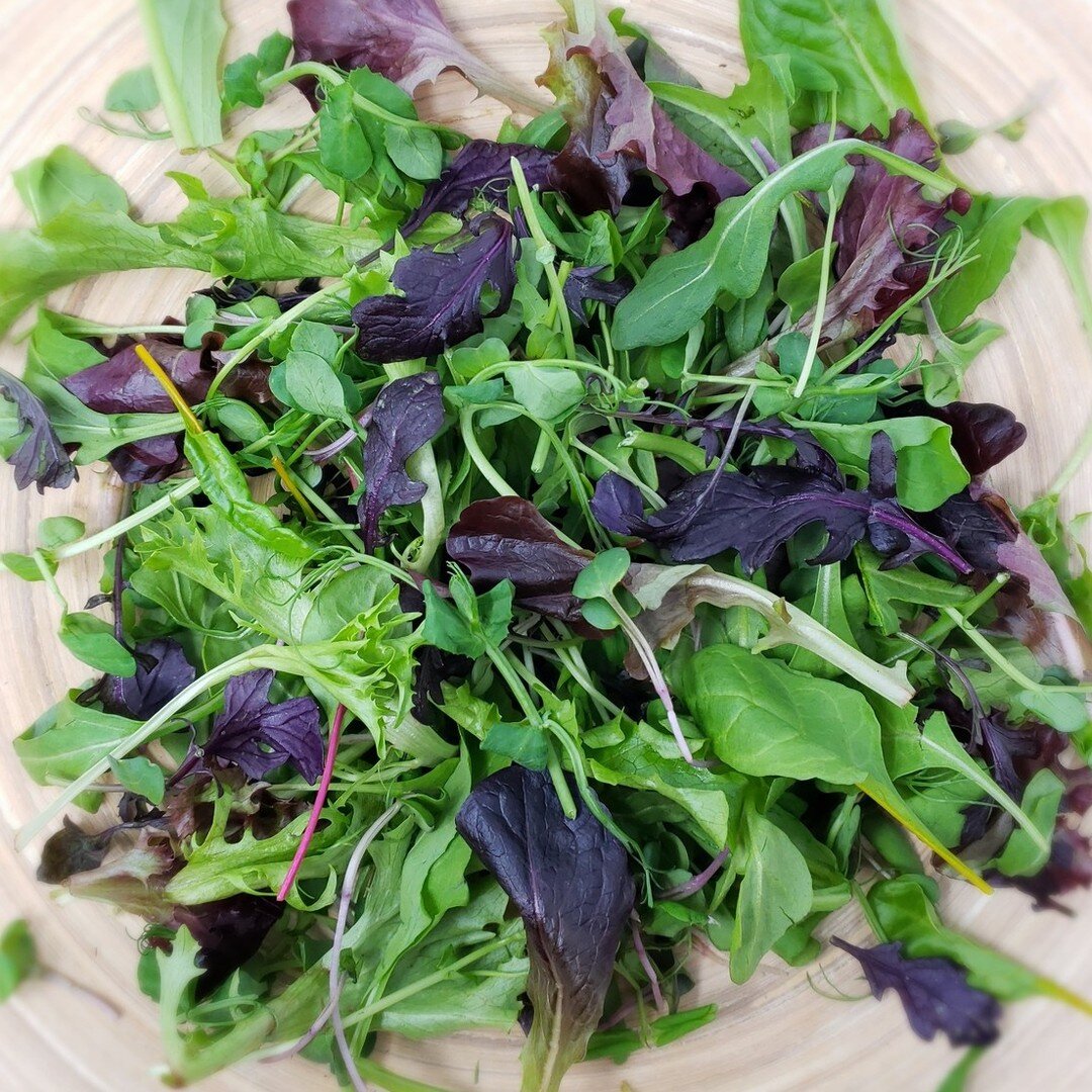 Jim Livengood and Tony Gibbons founded @RadicleFarm to explore the depths of fresh, flavorful and intriguing salad greens. Their journey has included years spent experimenting with countless seed varieties and growing methods in their New York and Ne