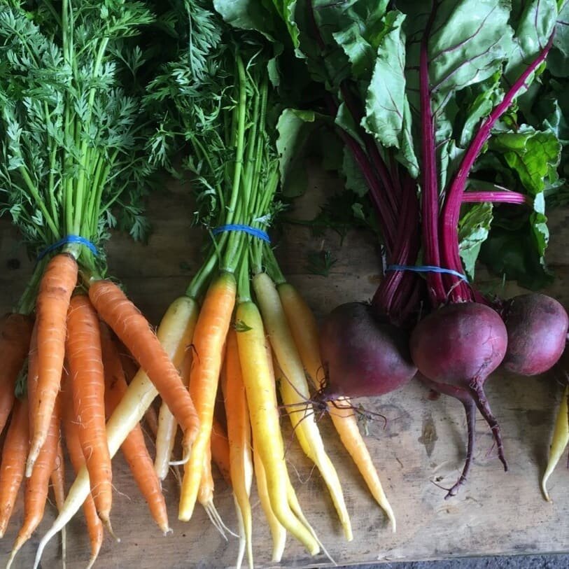 These beauties are here from Grandpa Farm (Rancho del Abuelito) of Chester, NY.  Their family has been farming since they emigrated from Puebla, Mexico 15 years ago.  Pro tip: the green tops of first tender roots of the year are edible and delicious!