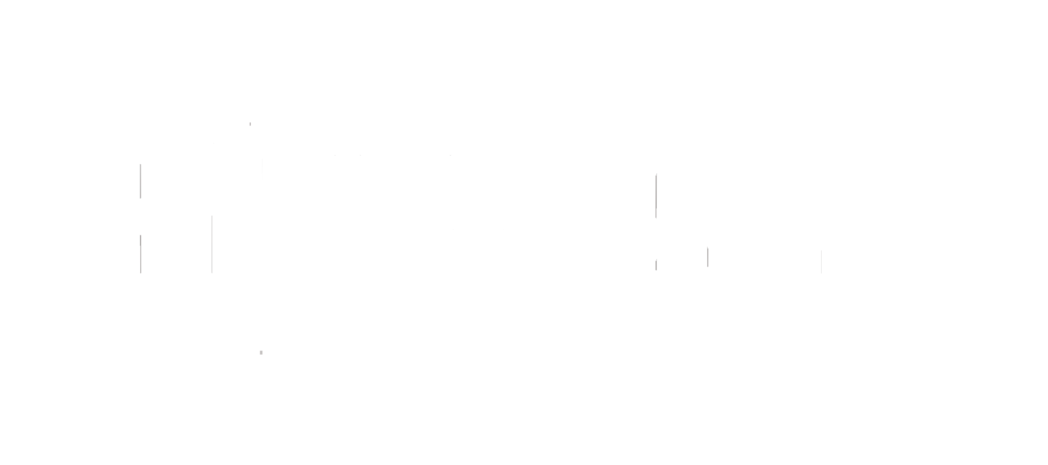 Precision Audio - Decatur, Texas