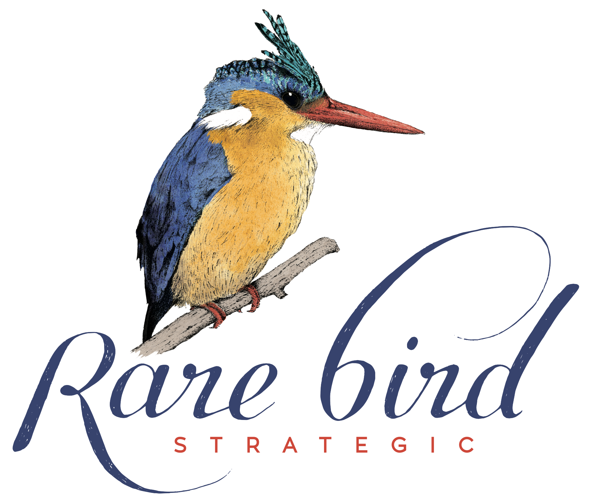 Rare Bird Strategic