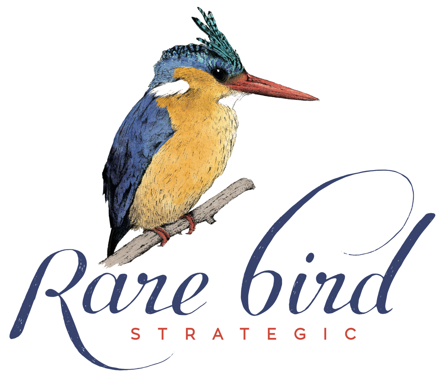 Rare Bird Strategic