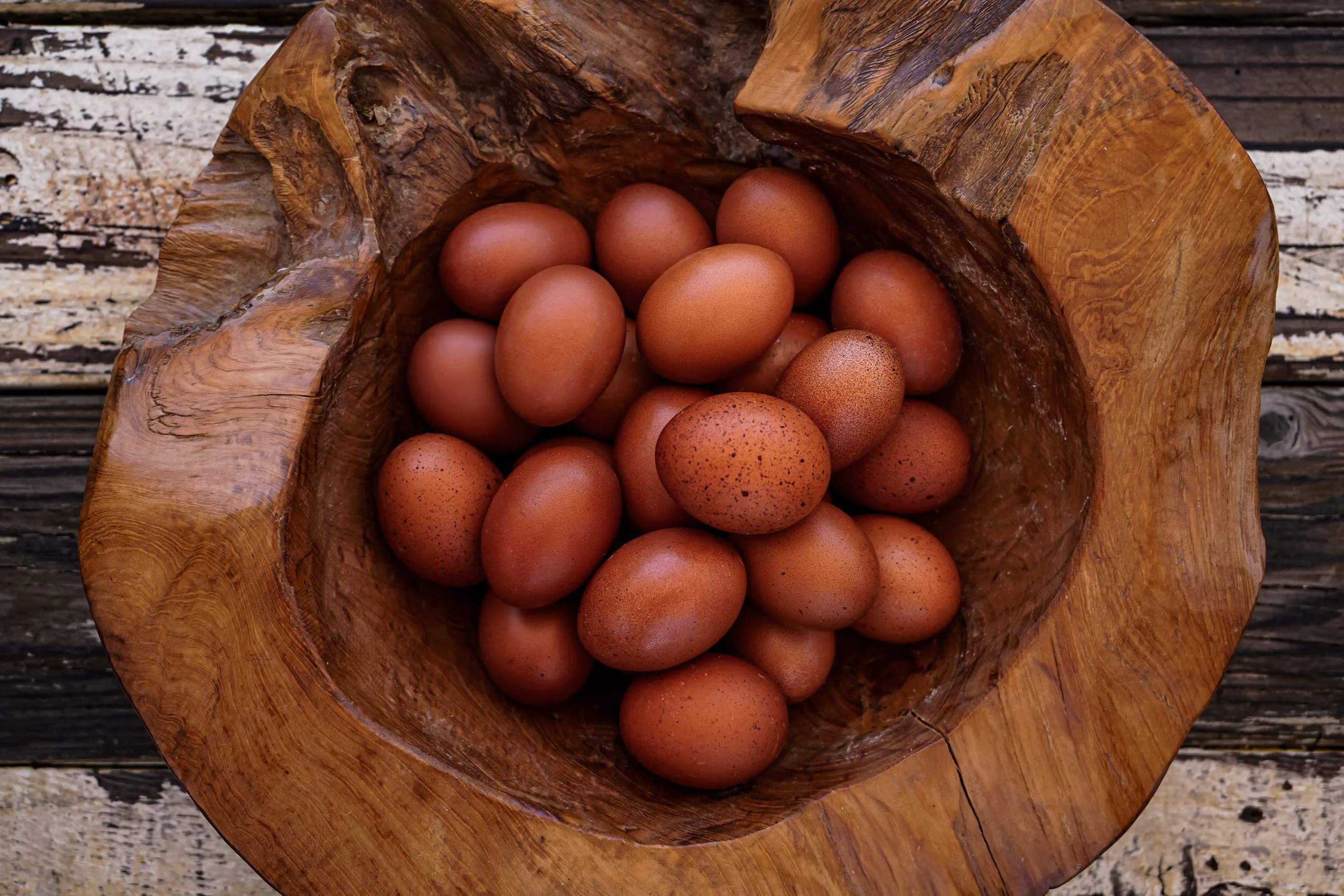 Cuckoo Maran Chicken Eggs