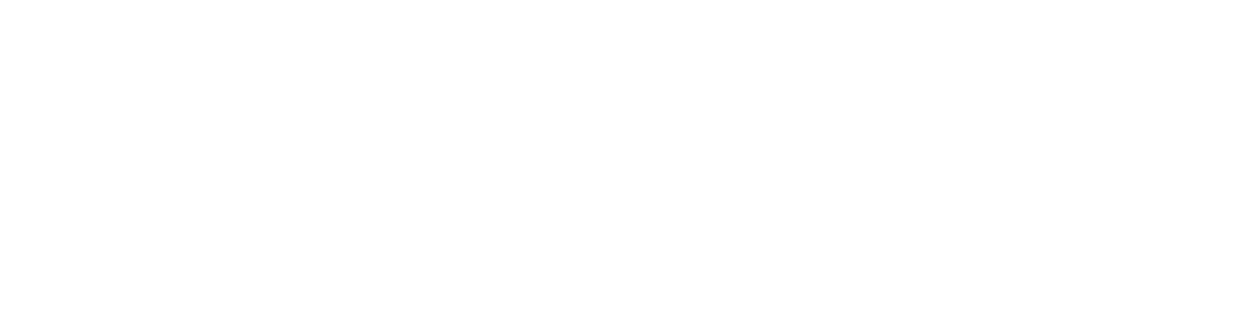 SkyView Custom Homes