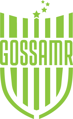 Gossamr