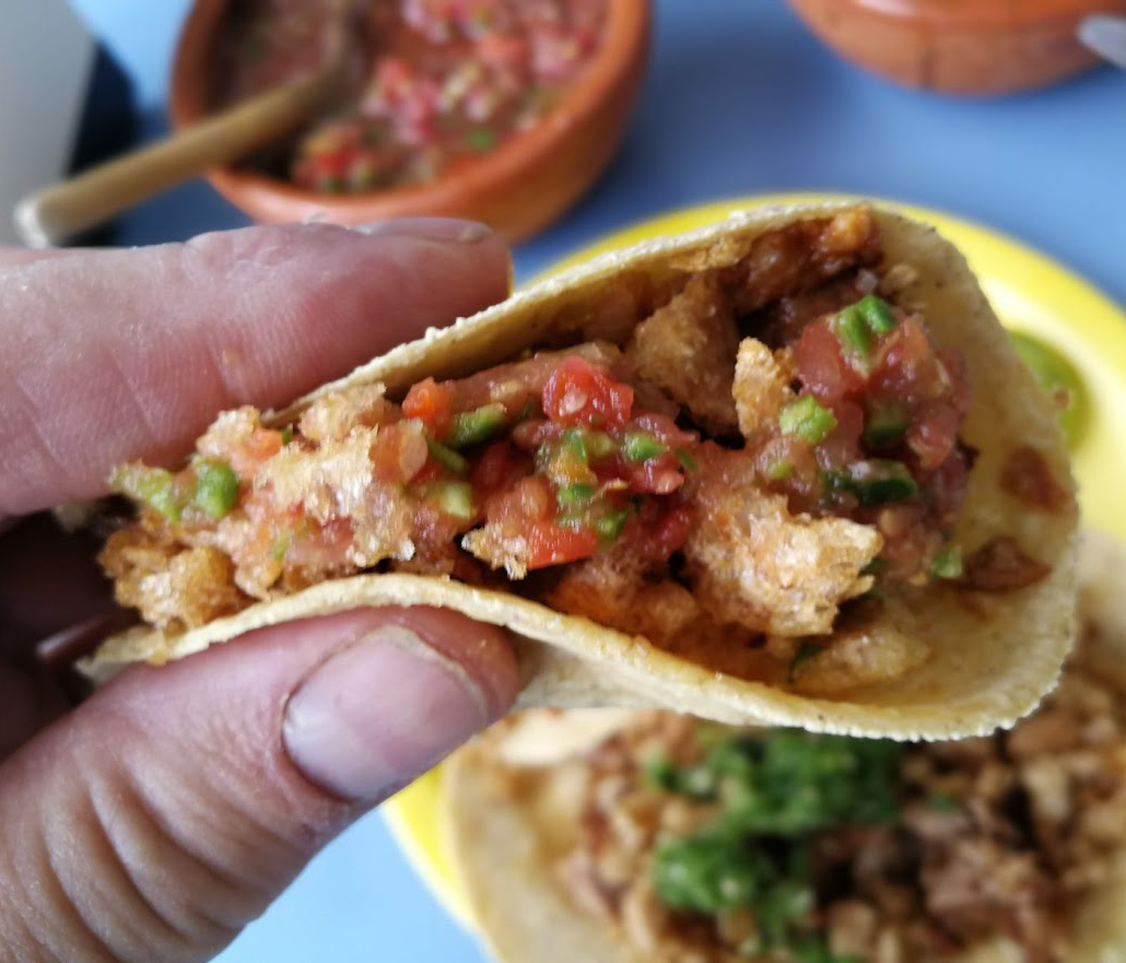 taco-lechoncitos.jpg.