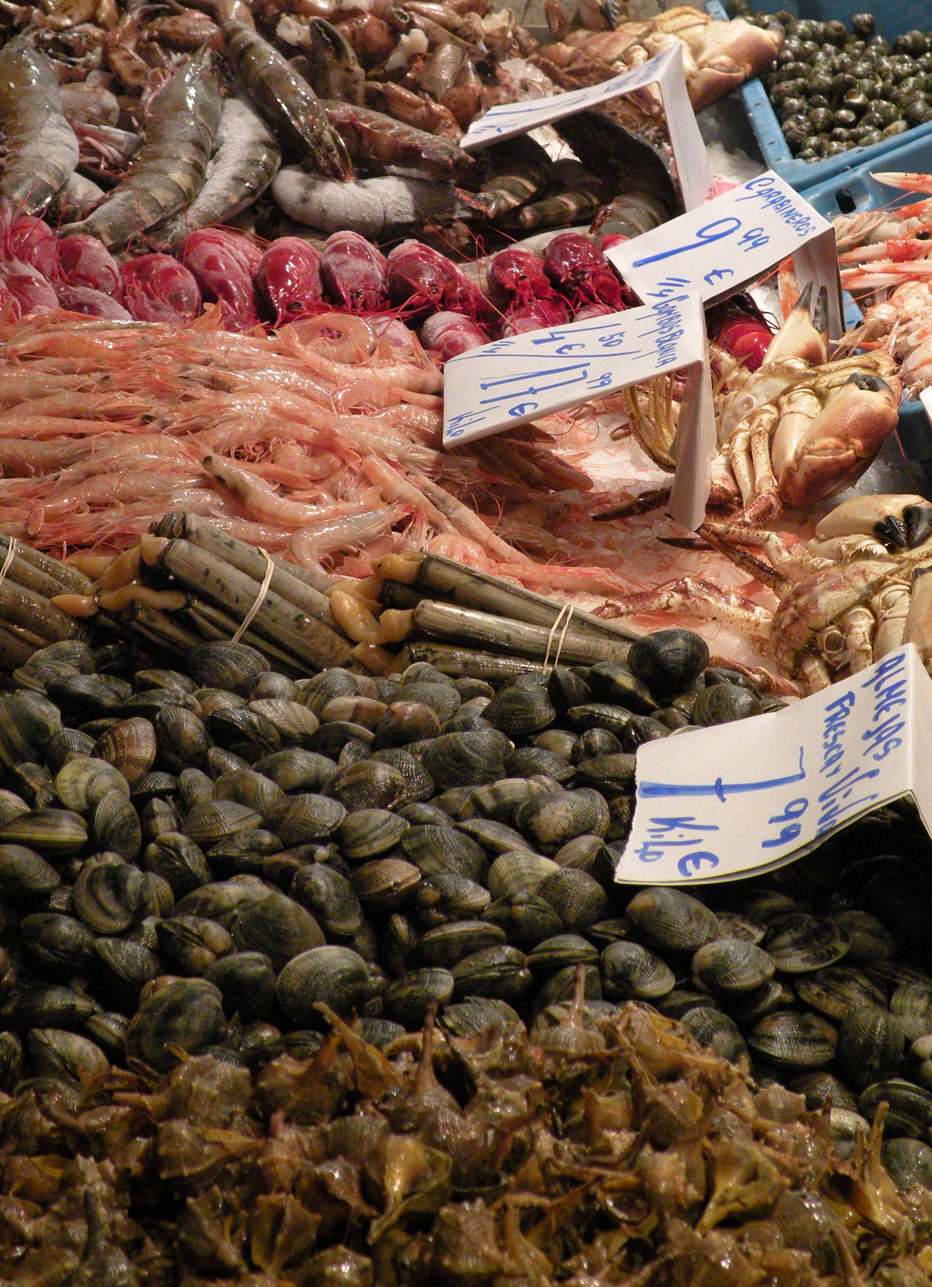 mariscos_mercado_cadiz.jpg.