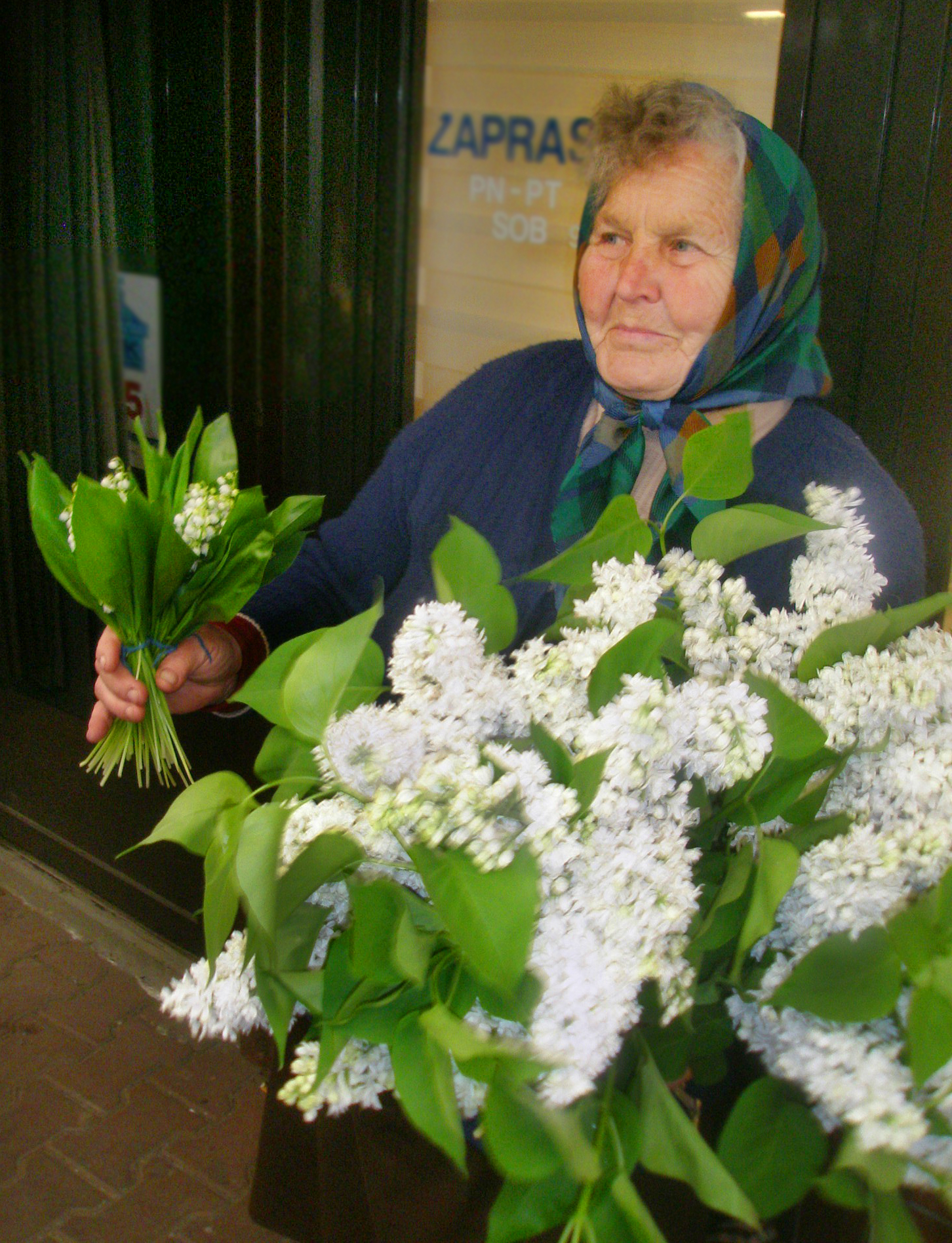 lilac_lady_krakow_market_photo_nicholas_gilman.jpg.