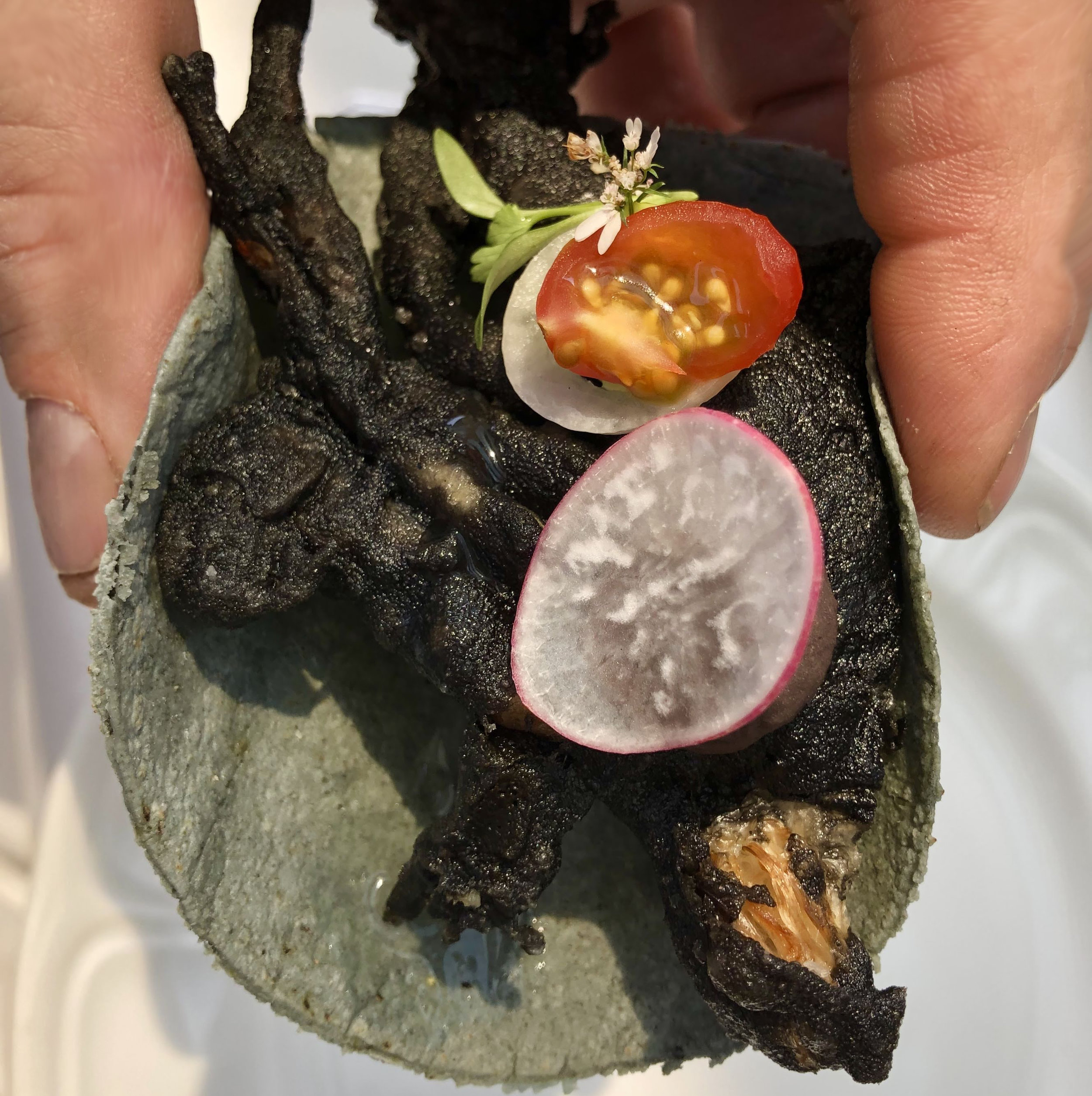 一个柔软的骨干蟹炸玉米饼
