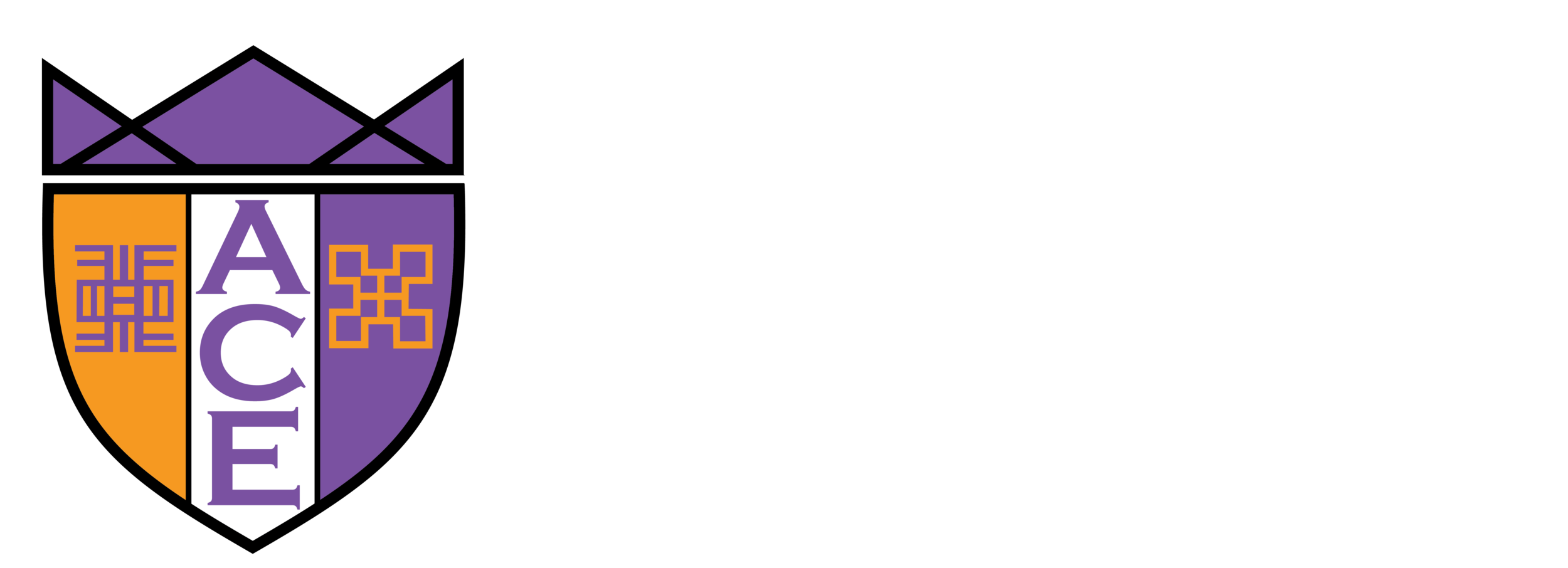 ACE Academy