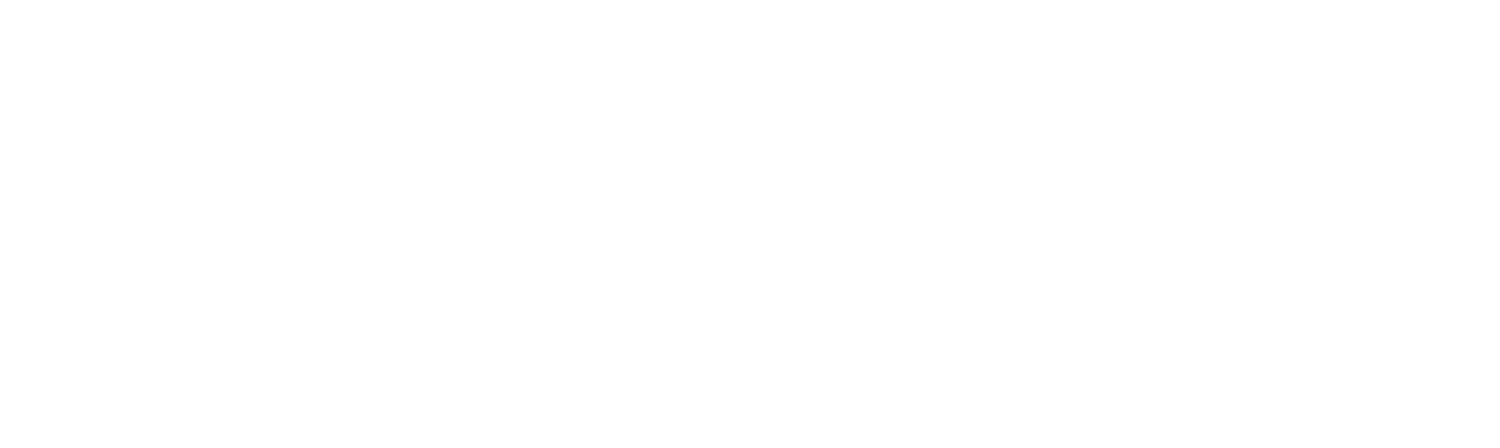 Warner Strategies