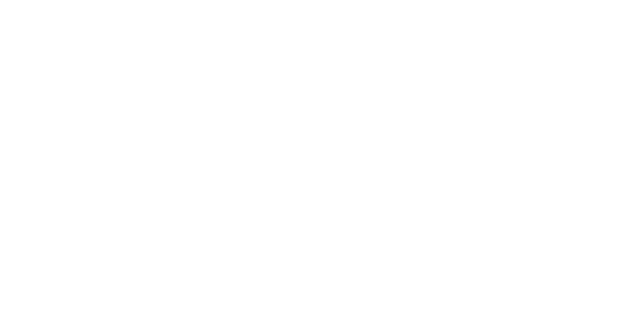 LARS MARKUSSEN - CV