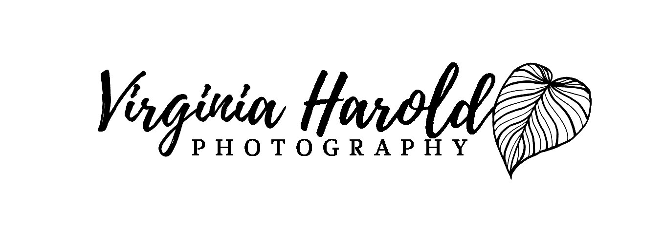 Virginia Harold Photography
