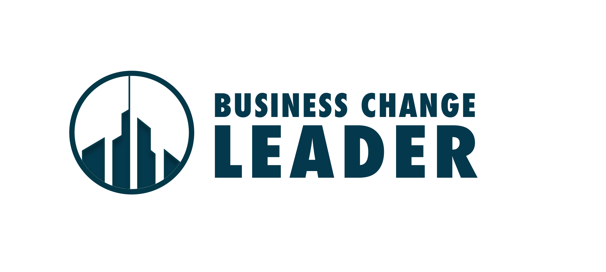Business Change Leader