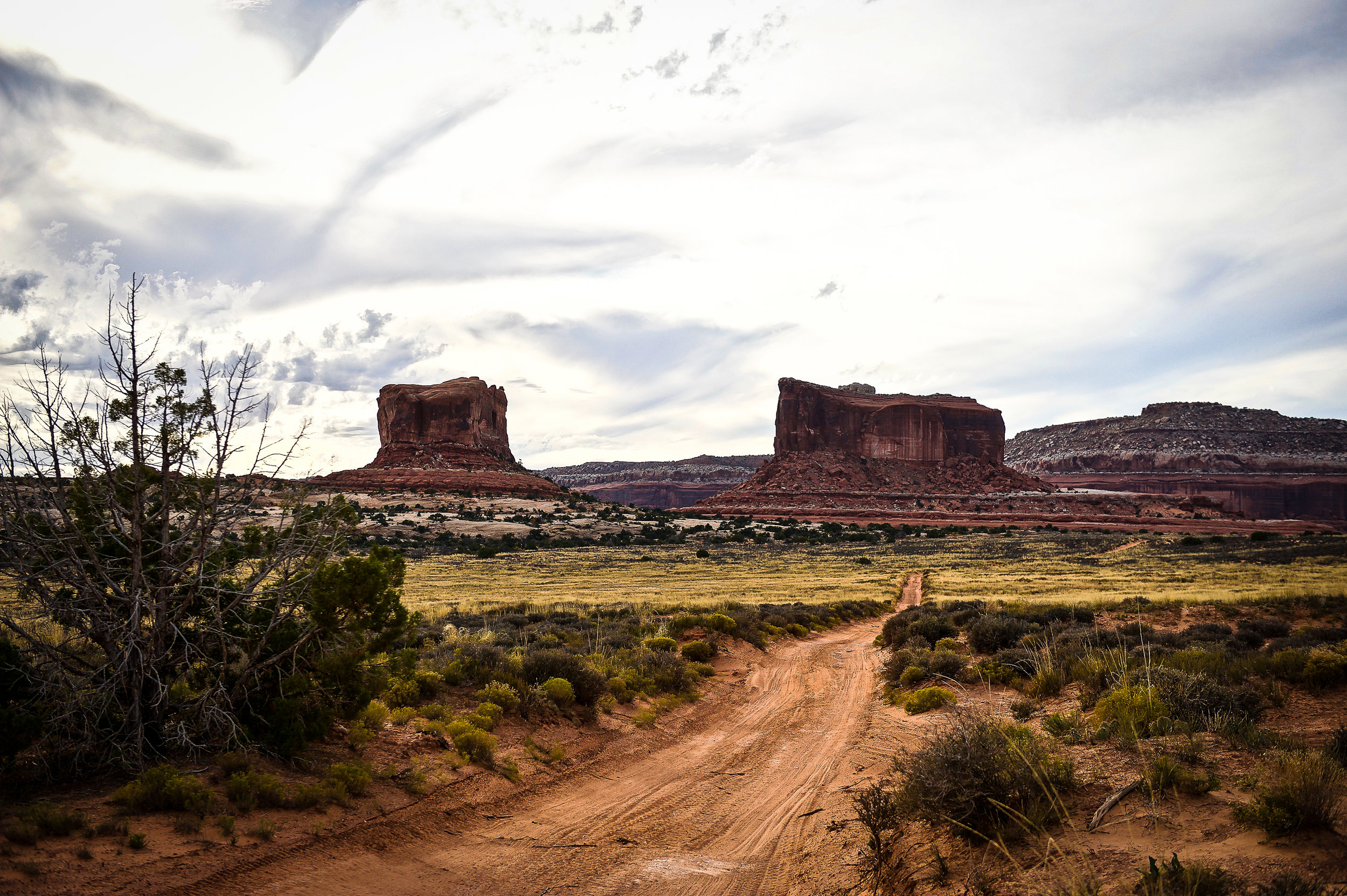 _DSC8074.jpg