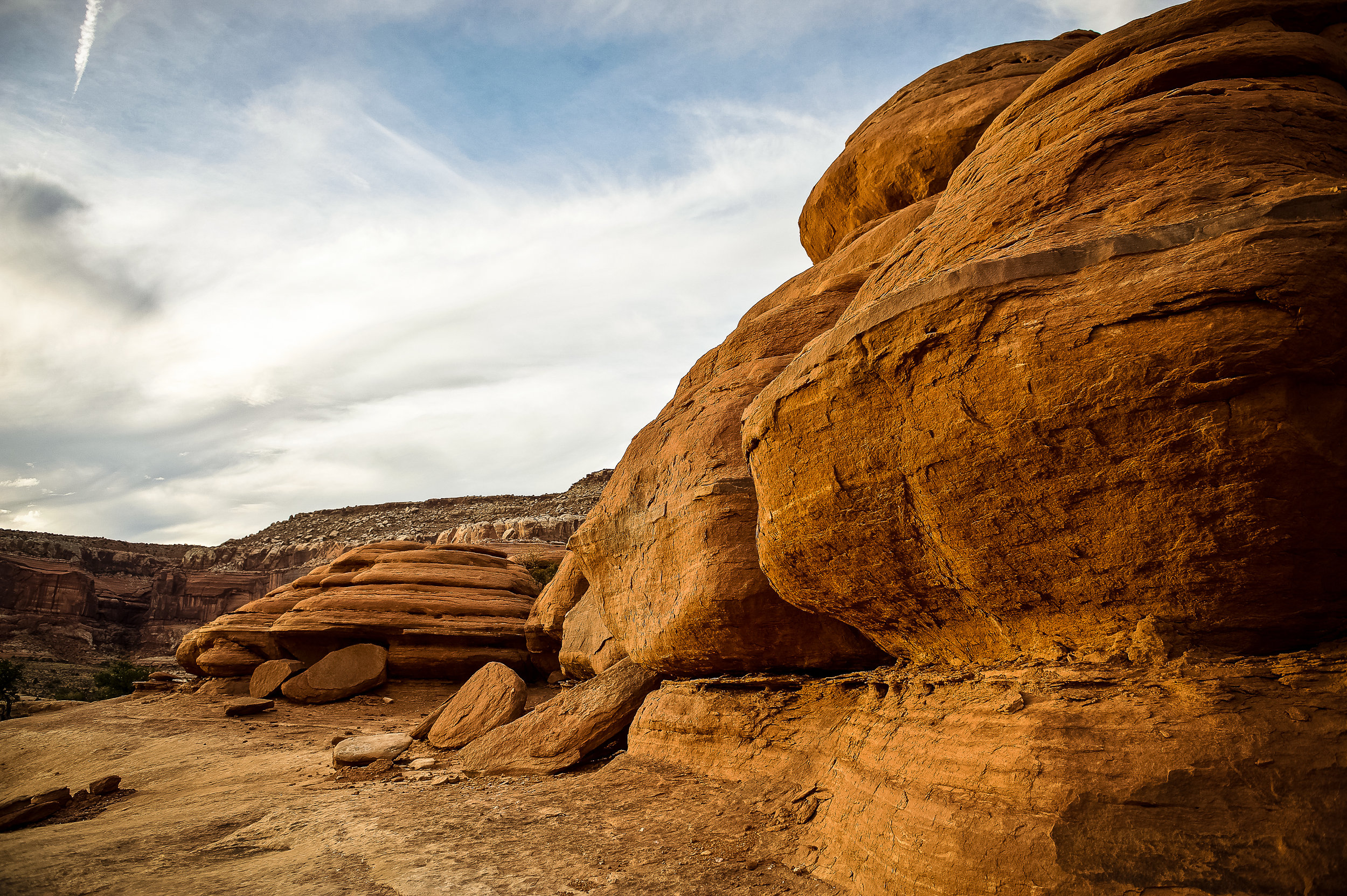 _DSC8079.jpg