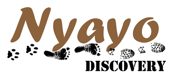 Nyayo Discovery