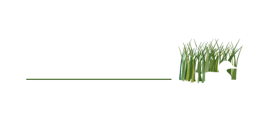 Upper Miss Wildlife Artistry