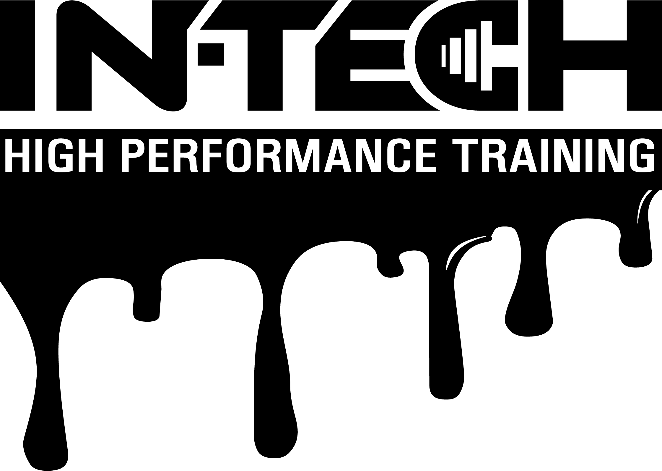 In-Tech High Performance Training