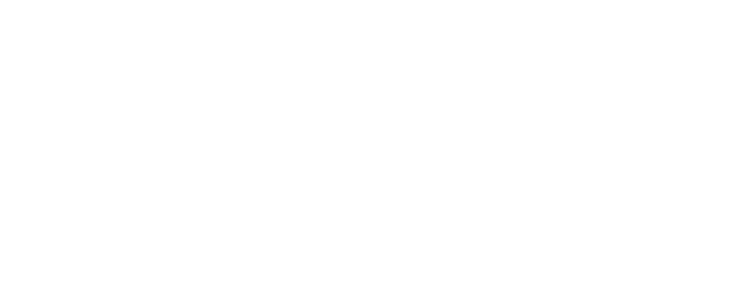 LSS Insurance Agency