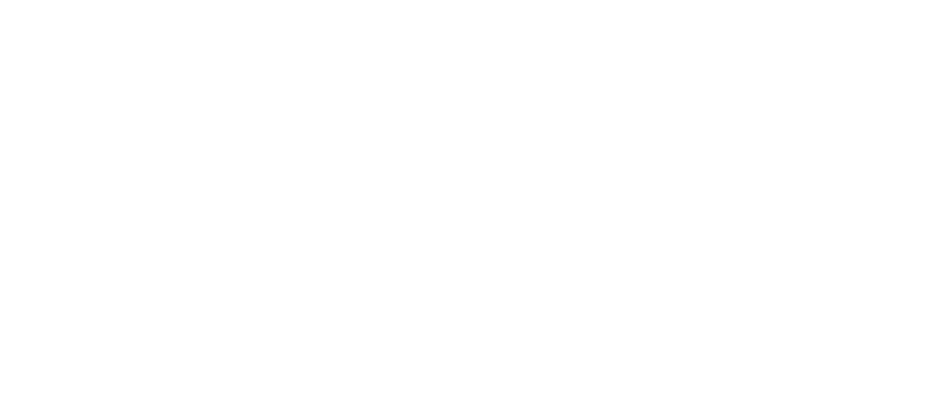 Carolina Collective