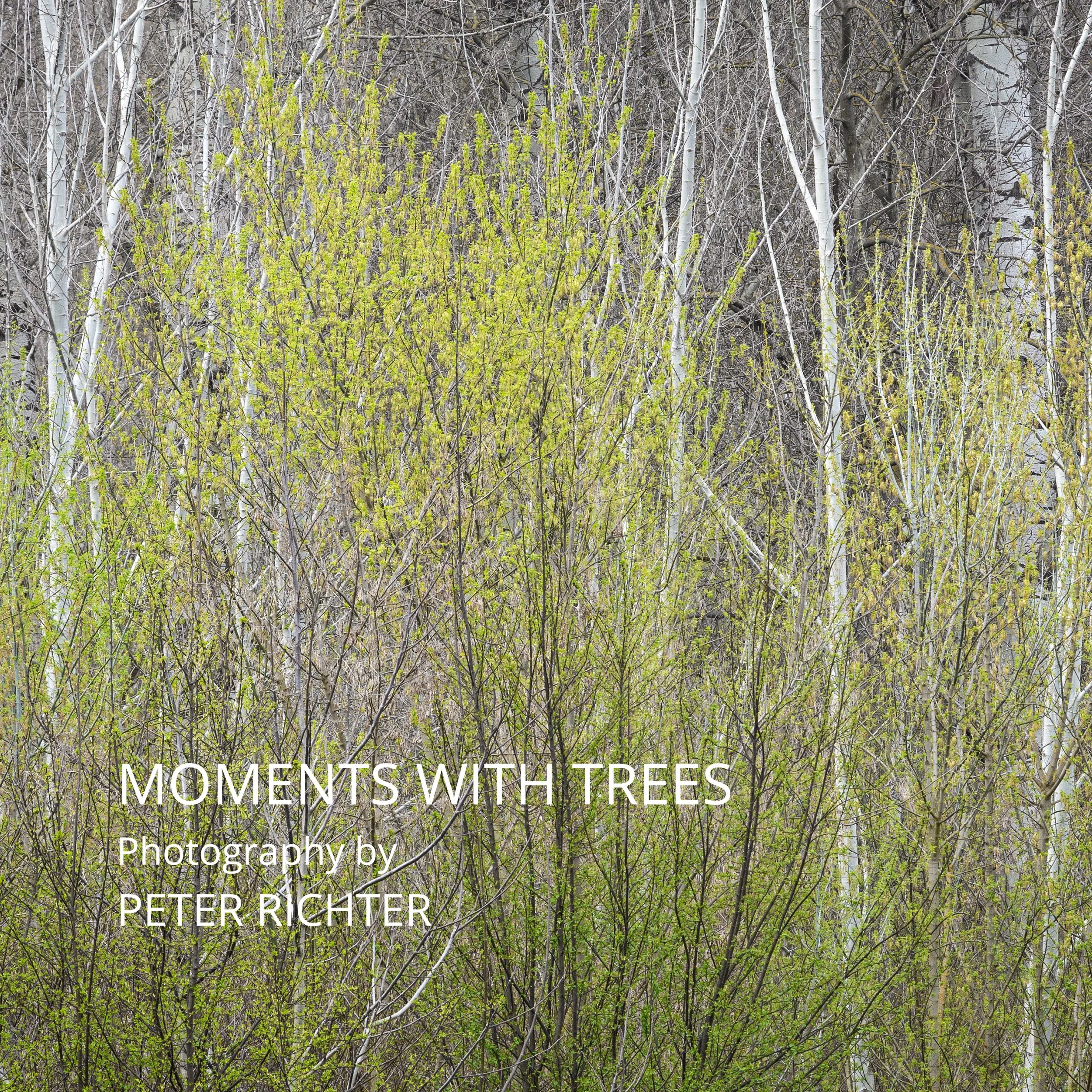 MERCY TREES オランダ写真家 Hans van Ommeren 写真集 Frozen 