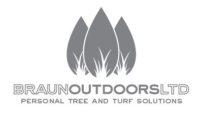 Braun Outdoors - Tree Service & Lawn Care