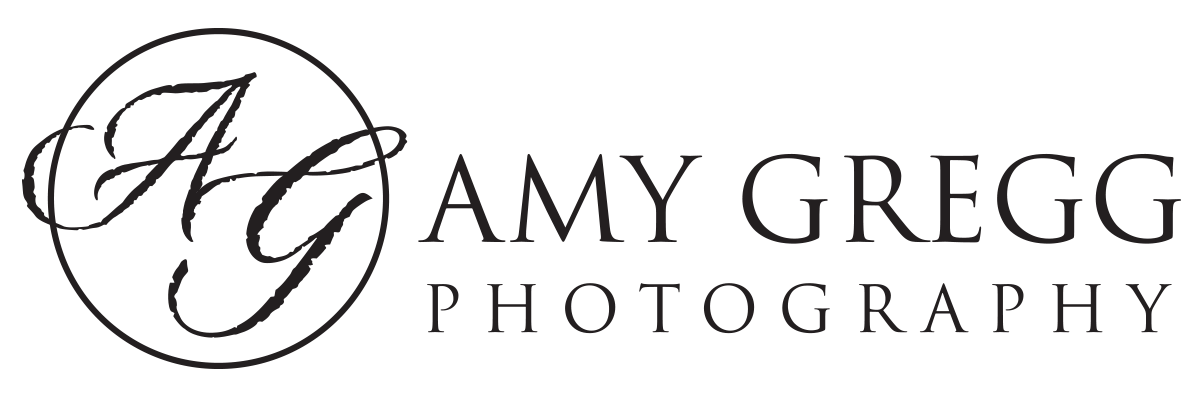 Amy Gregg I Personal + Commercial Brand Photographer