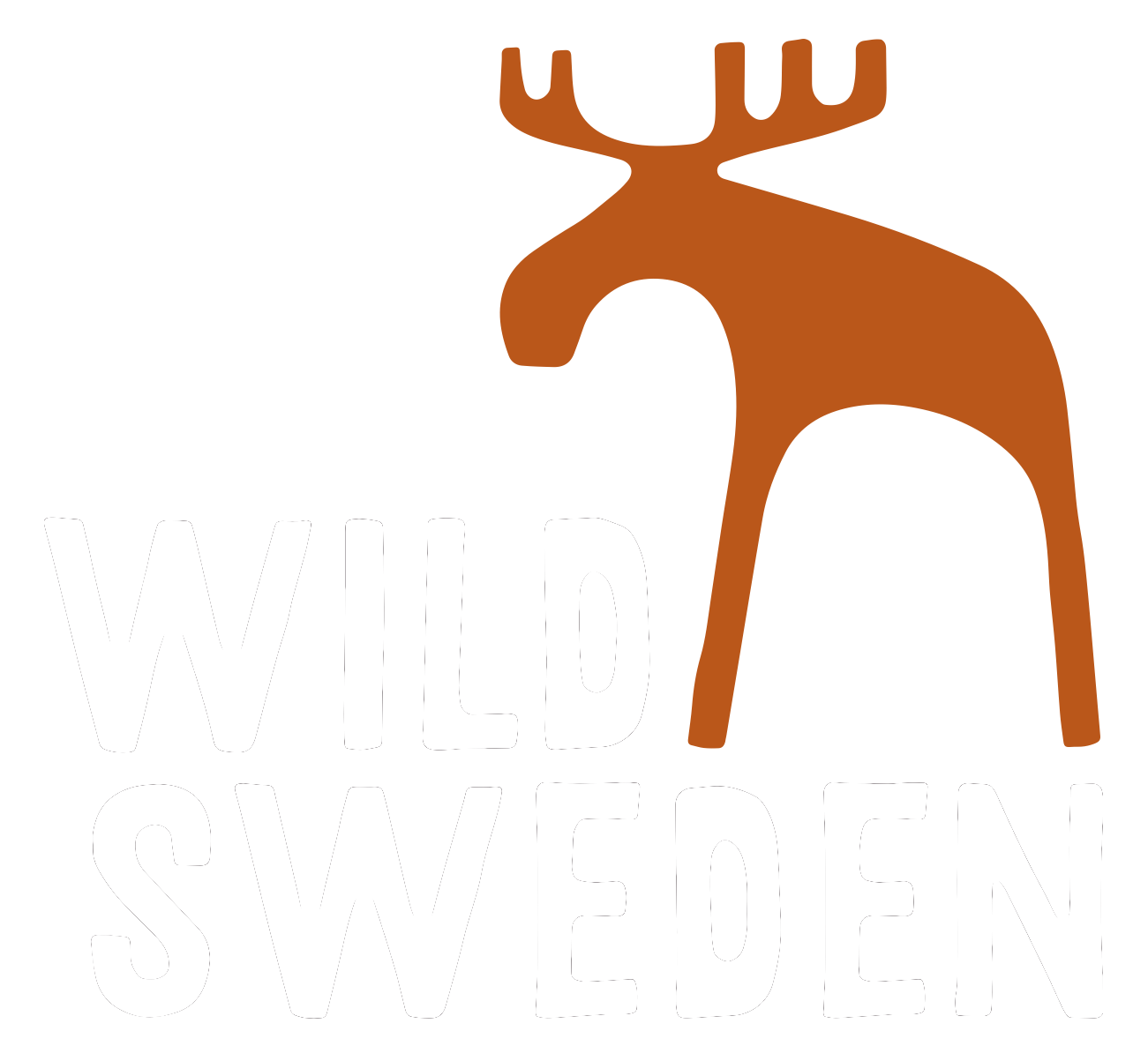 WildSweden - wildlife adventures in Sweden
